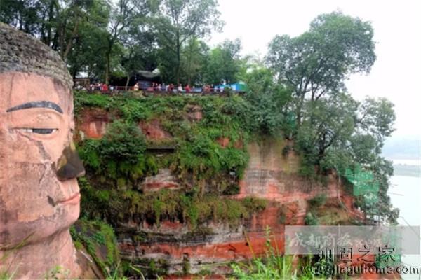 樂山大佛10月開始進行加固，預計明年2月完工